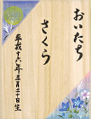 月と桔梗